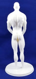 3D Printable Statue of a Standing Shy Nude Man Covering Himself // STL FILE // MM19