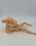 Patrick and Tanner Wrestling in their Birthday Suits // Solid 3D Printed Statue // MM81