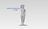 3D Printable Statue of a Standing Nude Young Man // STL FILE // MM05